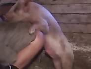 Farmer loves to be fucked in his ass by animals