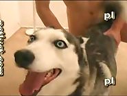 Mighty man shoves his huge cock into dog pussy